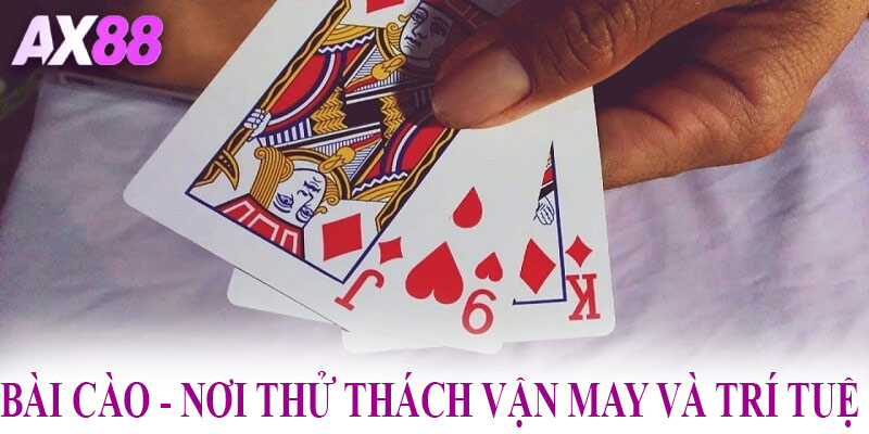 Bài Cào - Nơi thử thách vận may và trí tuệ