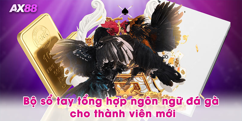 Bộ sổ tay tổng hợp ngôn ngữ đá gà cho thành viên mới