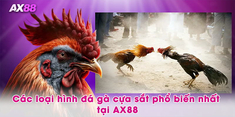 Các loại hình đá gà cựa sắt phổ biến nhất tại AX88