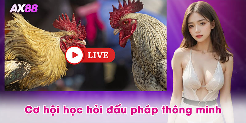Cơ hội học hỏi đấu pháp thông minh