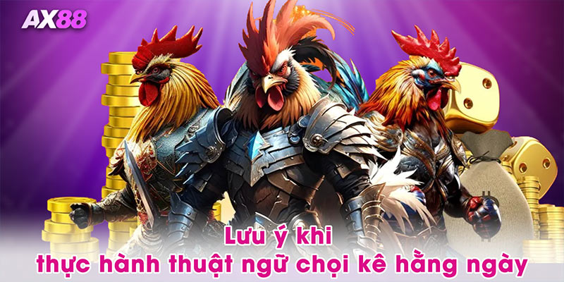 Lưu ý khi thực hành thuật ngữ chọi kê hằng ngày