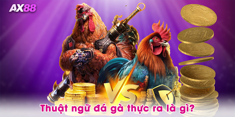 Thuật ngữ đá gà thực ra là gì?