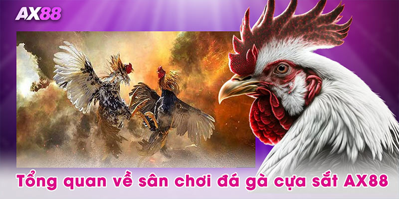 Tổng quan về sân chơi đá gà cựa sắt AX88